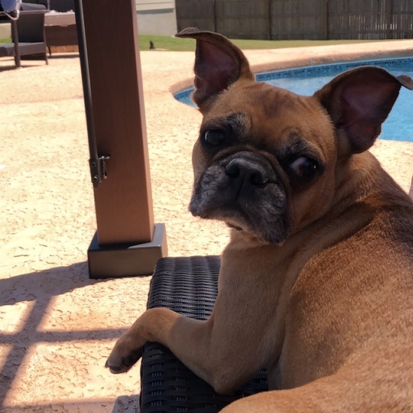 Meet your seller - Picture 4 of 10